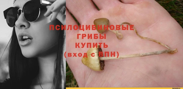 PSILOCYBIN Бородино